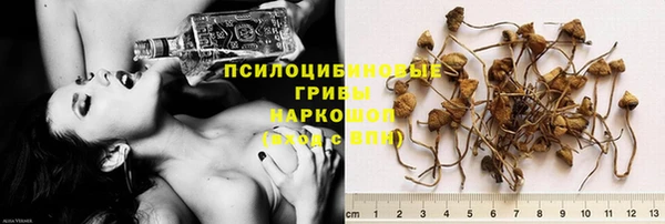 эйфоретик Алексеевка