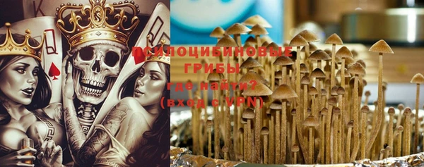 apvp Алексин