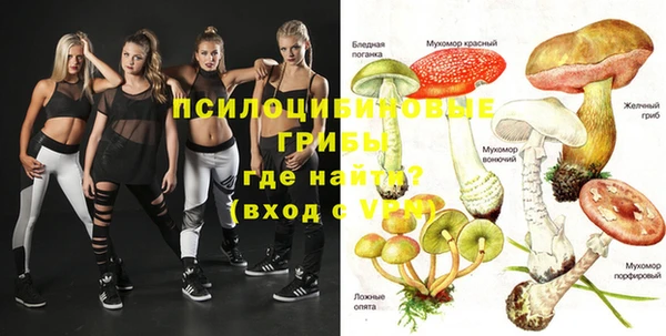 эйфоретик Алексеевка
