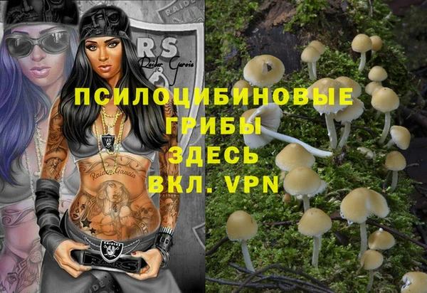 соль ск Нягань