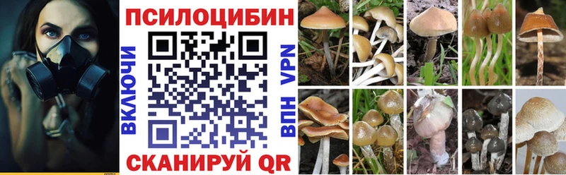 купить  сайты  Нурлат  Псилоцибиновые грибы Cubensis 